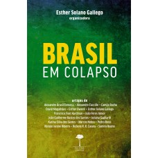 BRASIL EM COLAPSO